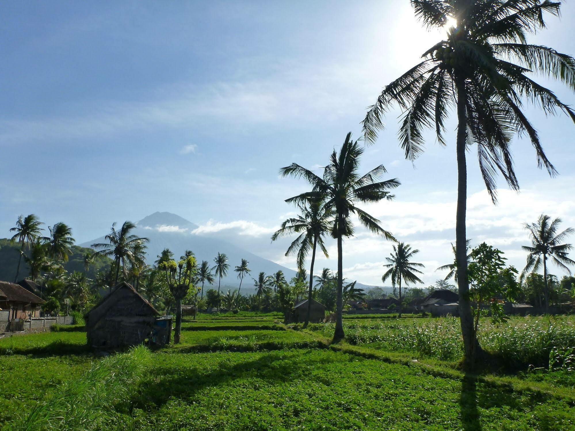 Bali Fab Dive Center Hostel อาเม็ด ภายนอก รูปภาพ